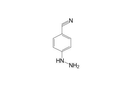 4-Hydrazinobenzonitrile
