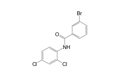 3-bromo-2',4'-dichlorobenzanilide
