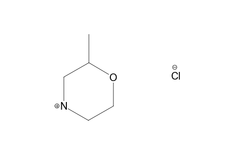 2-METHYL-MORPHOLINE-HYDROCHLORIDE