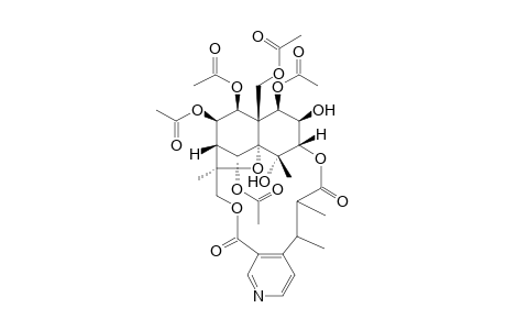 WILFORDININE-A;1-BETA,5-ALPHA,7-BETA,8-BETA,11-PENTA-ACETOXY-2-BETA,4-ALPHA-HYDROXY-3-ALPHA,15-[2',3'-DIMETHYL-3'-(3''-CARBOXY-4''-PYRIDYL)-PROPAN