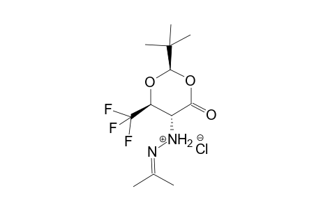 (2R,5R,6S)-2-Tert-butyl-5-(Isopropylidenehydrazino)-6-trifluoromethyl-1,3-dioxan-4-one hydrochloride