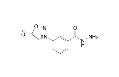 3-(5-hydroxy-2H-oxadiazol-3-yl)-N-imino-benzamide