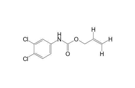 3,4-Dichlorocarbanilic acid, allyl ester