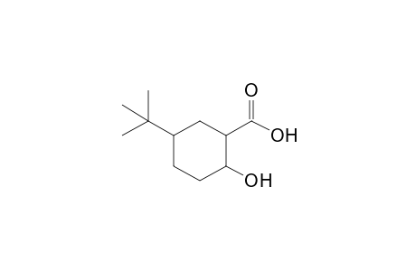 5-tert-butyl-2-hydroxycyclohexanecarboxylic acid