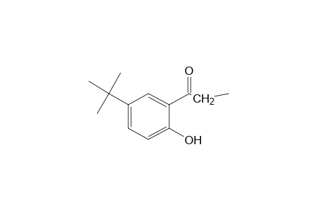 5'-tert-butyl-2'-hydroxypropiophenone