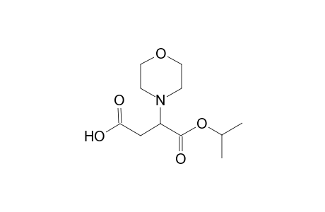 3-(4-morpholinyl)-4-oxo-4-propan-2-yloxybutanoic acid