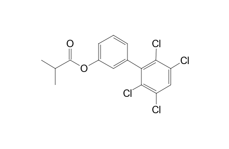 3-Hydroxy-2',3',5',6'-tetrachlorobiphenyl, 2-methylpropionate