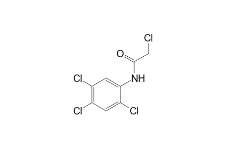 2,2',4',5'-tetrachloroacetanilide