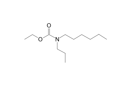 Carbonic acid, monoamide, N-propyl-N-hexyl-, ethyl ester