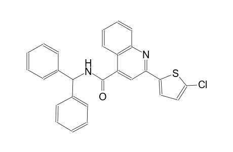 N-benzhydryl-2-(5-chloro-2-thienyl)-4-quinolinecarboxamide