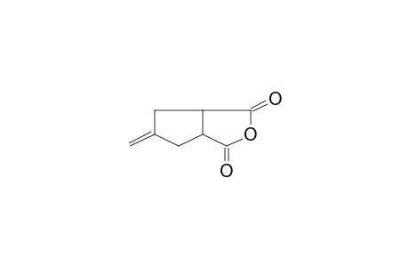 5-Methylenetetrahydro-1H-cyclopenta[c]furan-1,3(3ah)-dione