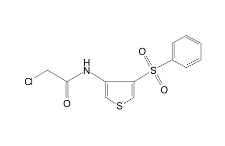 2-chloro-N-[4-(phenylsulfonyl)-3-thienyl]acetamide