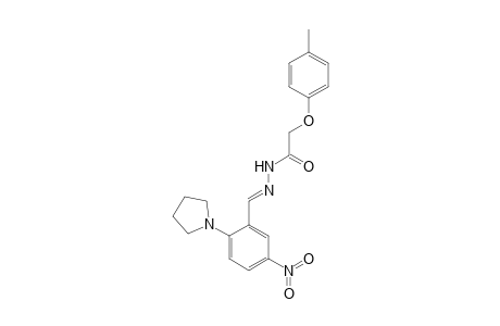 2-(4-Methylphenoxy)-N-[(E)-(5-nitro-2-pyrrolidin-1-yl-phenyl)methyleneamino]acetamide