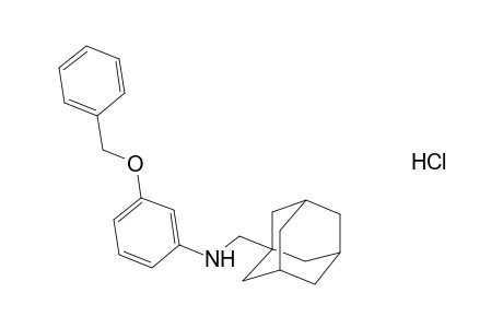 N-[(Adamant-1-yl)methyl]-3-(benzyloxy)aniline Hydrochloride