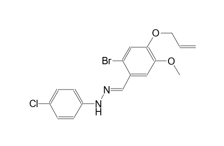 4-(allyloxy)-2-bromo-5-methoxybenzaldehyde (4-chlorophenyl)hydrazone