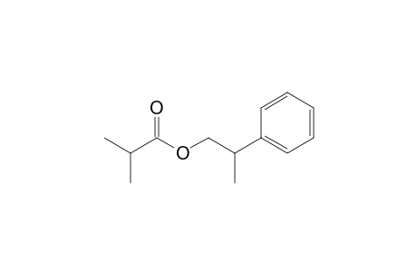 2-Phenylpropyl isobutyrate