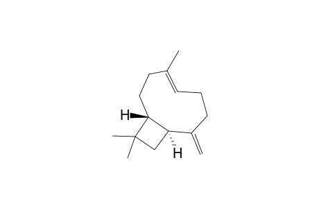 (E)-(1R,9S)-(-)-8-methylene-4,11,11-trimethylbicyclo[7.2.0]undec-4-ene