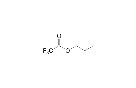 trifluoroacetic acid, propyl ester