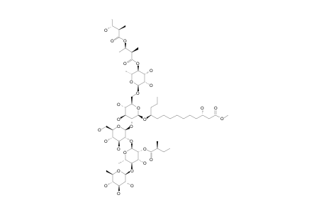 PM-6;METHYL_3-S,11-S-DIHYDROXYTETRADECANOATE_11-O-BETA-D-QUINOVOPYRANOSYL-(1->4)-O-(2-O-2-S-METHYLBUTYRYL)-ALPHA-L-RHAMNOPYRANOSYL-(1->2)-O-BETA