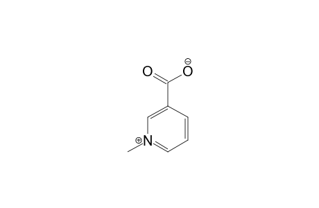 3-carboxy-1-methylpyridinium hydroxide, inner salt