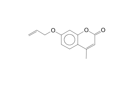 7-allyloxy-4-methylcoumarin