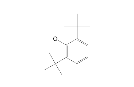 2,6-DI-tert-BUTYLPHENOL