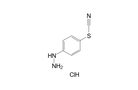 thiocyanic acid, p-hydrazinophenyl ester, monohydrochloride
