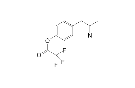 Amfetamine-M (4-HO-) TFA      @