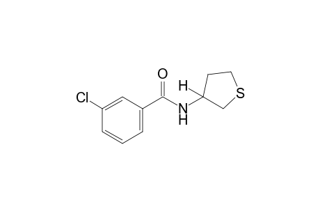 m-chloro-N-(tetrahydro-3-thienyl)benzamide