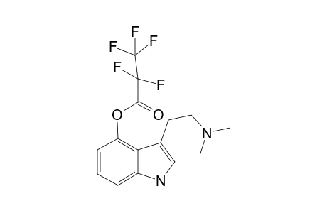 Psilocine PFP                 @