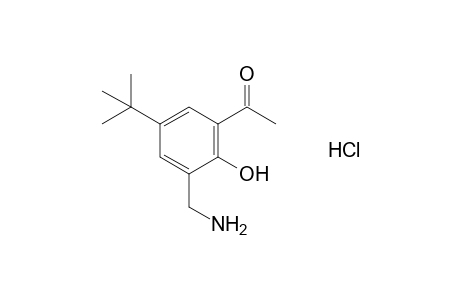 3'-(aminomethyl)-5'-tert-butyl-2'-hydroxyacetophenone, hydrochloride