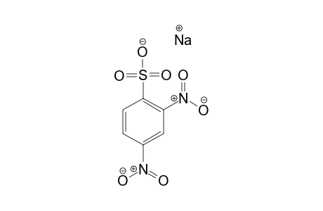 2,4-Dinitrobenzenesulfonic acid sodium salt