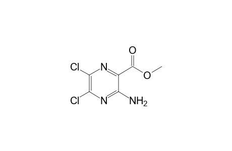 3-amino-5,6-dichloro-pyrazinic acid methyl ester