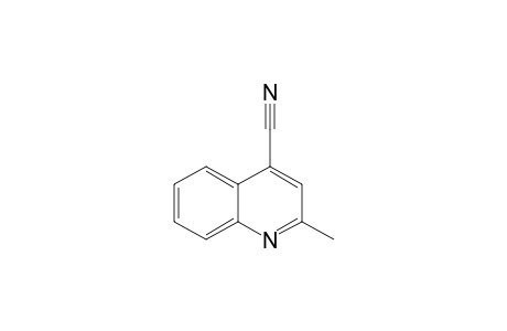 4-Cyano-2-methylquinoline