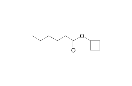 Hexanoic acid, cyclobutyl ester