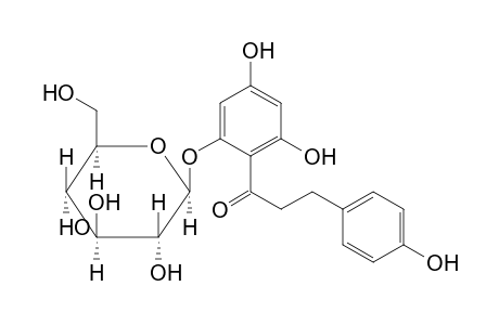 Phlorizin