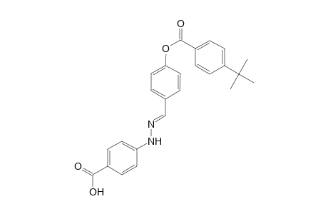 4-((2E)-2-{4-[(4-tert-butylbenzoyl)oxy]benzylidene}hydrazino)benzoic acid