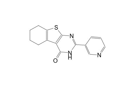 2-(3-Pyridinyl)-5,6,7,8-tetrahydro[1]benzothieno[2,3-d]pyrimidin-4(3H)-one