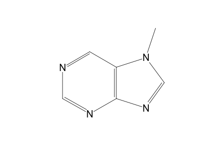 7-Methyl-purine
