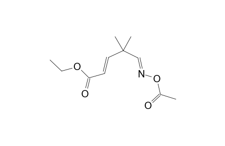 Ethyl (E)-N-acetoxy-4,4-dimethyl-6-azahexa-2,5-dienoate