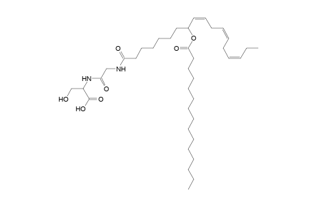 NAGlySer 15:0/18:3