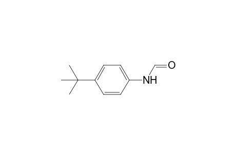 N-(4-tert-Butylphenyl)formamide