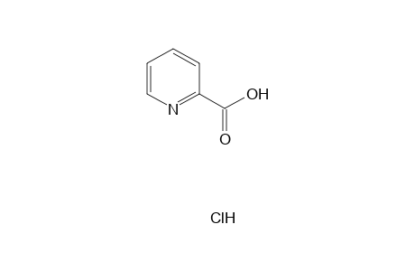 PICOLINIC ACID, HYDROCHLORIDE