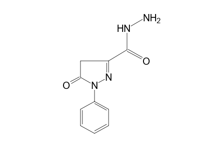 5-oxo-1-phenyl-2-pyrazoline-3-carboxylic acid, hydrazide