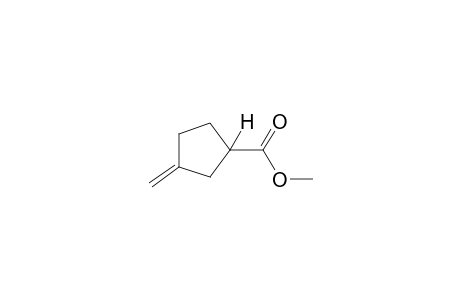 3-methylenecyclopentanecarboxylic acid, methyl ester