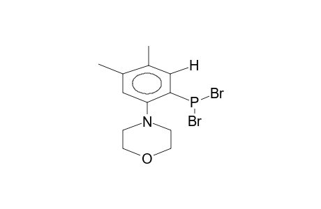 4,5-DIMETHYL-2-MORPHOLINOPHENYLDIBROMOPHOSPHINE