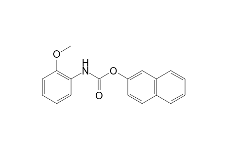 (2-Methoxyphenyl)carbamic acid, naphthalen-2-yl ester