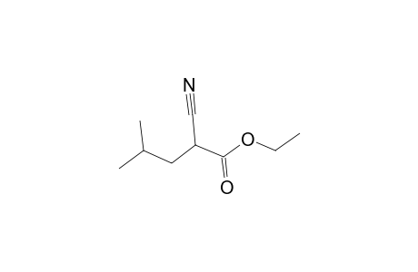 Valeric acid, 2-cyano-4-methyl-, ethyl ester