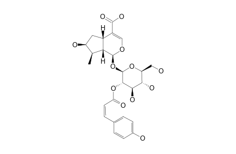 2'-O-CIS-PARA-COUMAROYL-LOGANIC-ACID