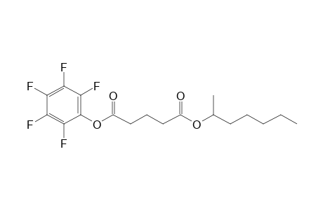 Glutaric acid, hept-2-yl pentafluorophenyl ester